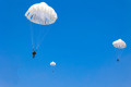 组图：某特战旅组织伞降训练