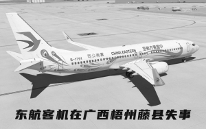 专题：东航一架载132人客机在广西失事