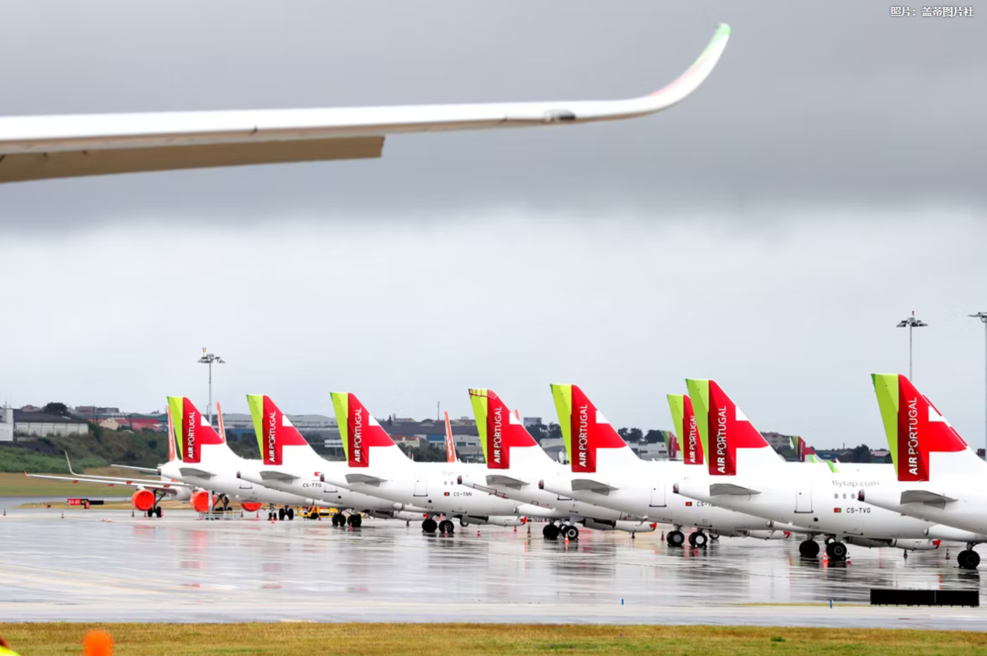葡萄牙TAP航空公司停止提供短途航班的基本票价